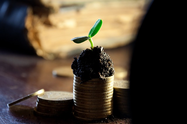 https://pixabay.com/en/money-bank-deposit-grow-up-income-549161/