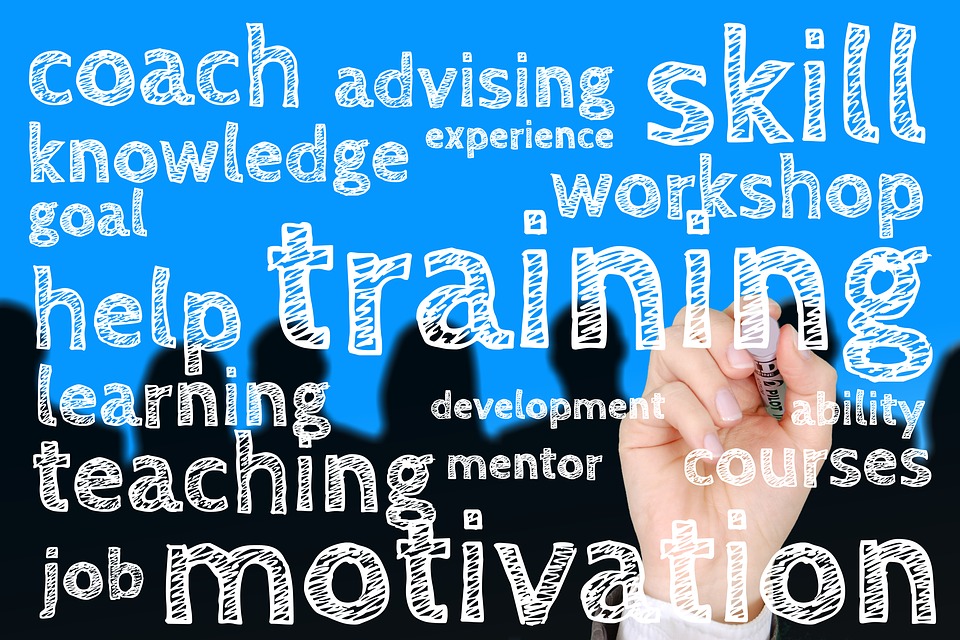 https://pixabay.com/en/education-hand-leave-skills-can-1580143/